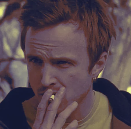 𓃹 jesse ⟨capn⟩ pinkman.'s avatar